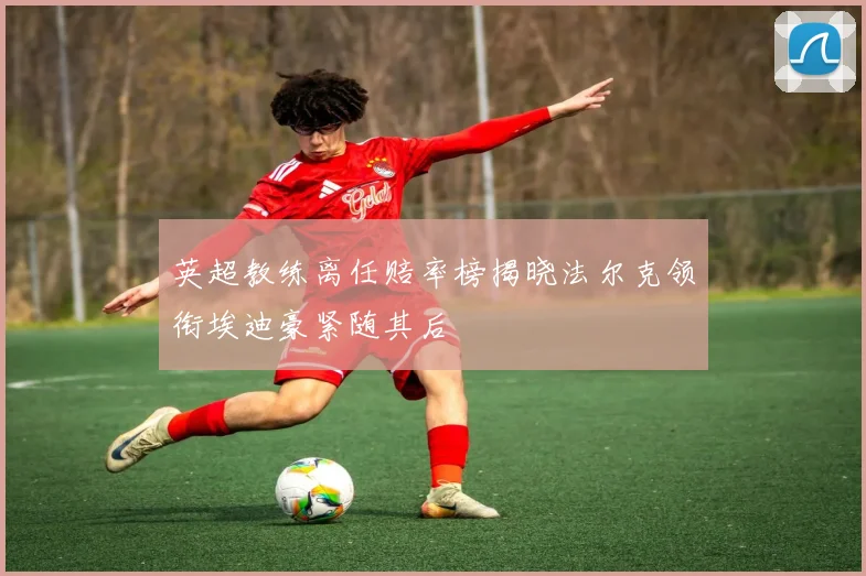英超教练离任赔率榜揭晓法尔克领衔埃迪豪紧随其后