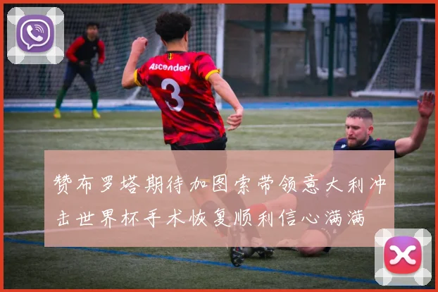 赞布罗塔期待加图索带领意大利冲击世界杯手术恢复顺利信心满满